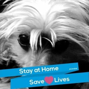 Meet your Posher, Carolyn